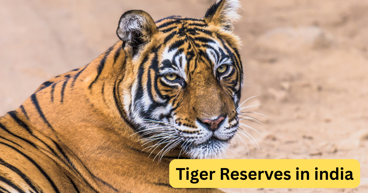 Tiger Reserves in India